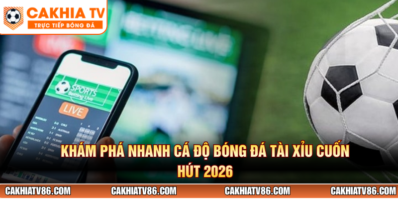 Khám phá nhanh cá độ bóng đá tài xỉu cuốn hút 2026