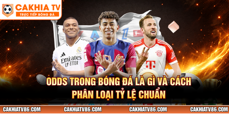 Odds Trong Bóng Đá Là Gì